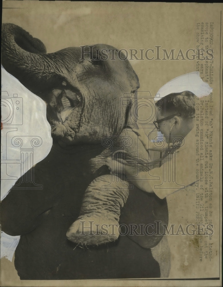 Minnie he elephant & Dr NC Ralston at Dallas circus1957 Press Photo - neo23246