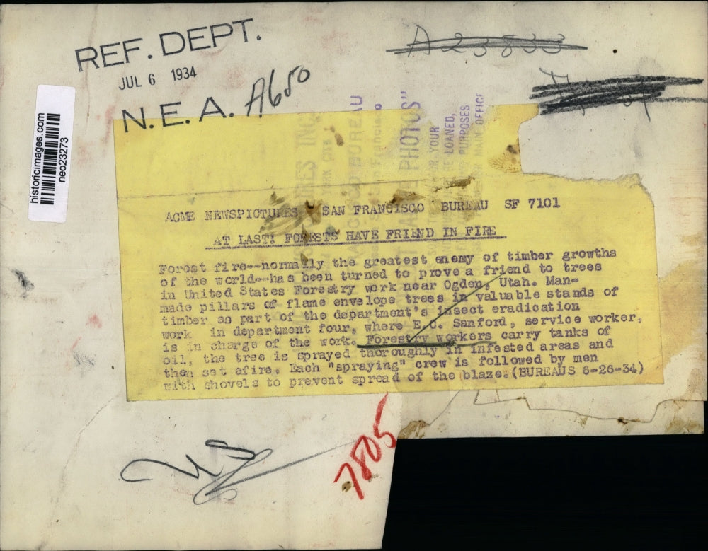 1934 Press Photo EC SanfordForestry worker sprays trees with oil to stop a fire