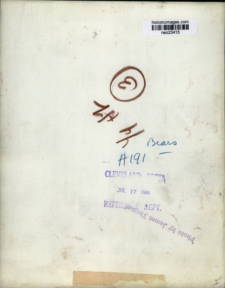 1946 Press Photo Bear - neo23415