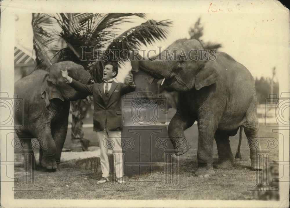 1924 Press Photo SM Bernardo trainer working with elephants - neo23940- Historic Images