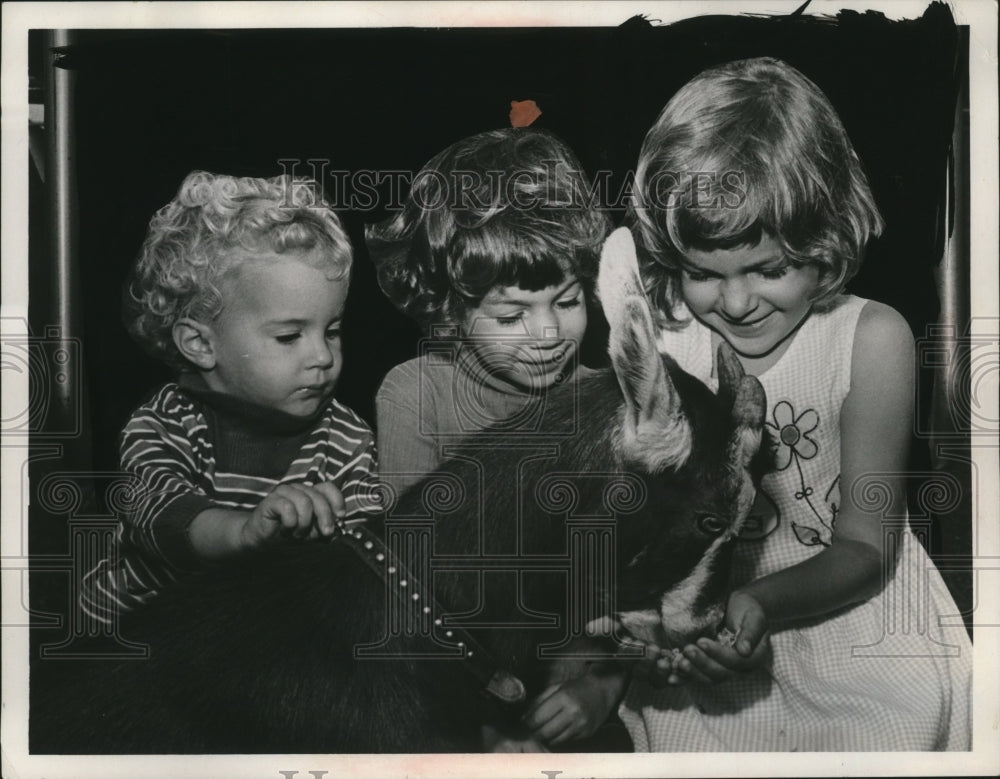 Press Photo Children with Goat - neo25411- Historic Images