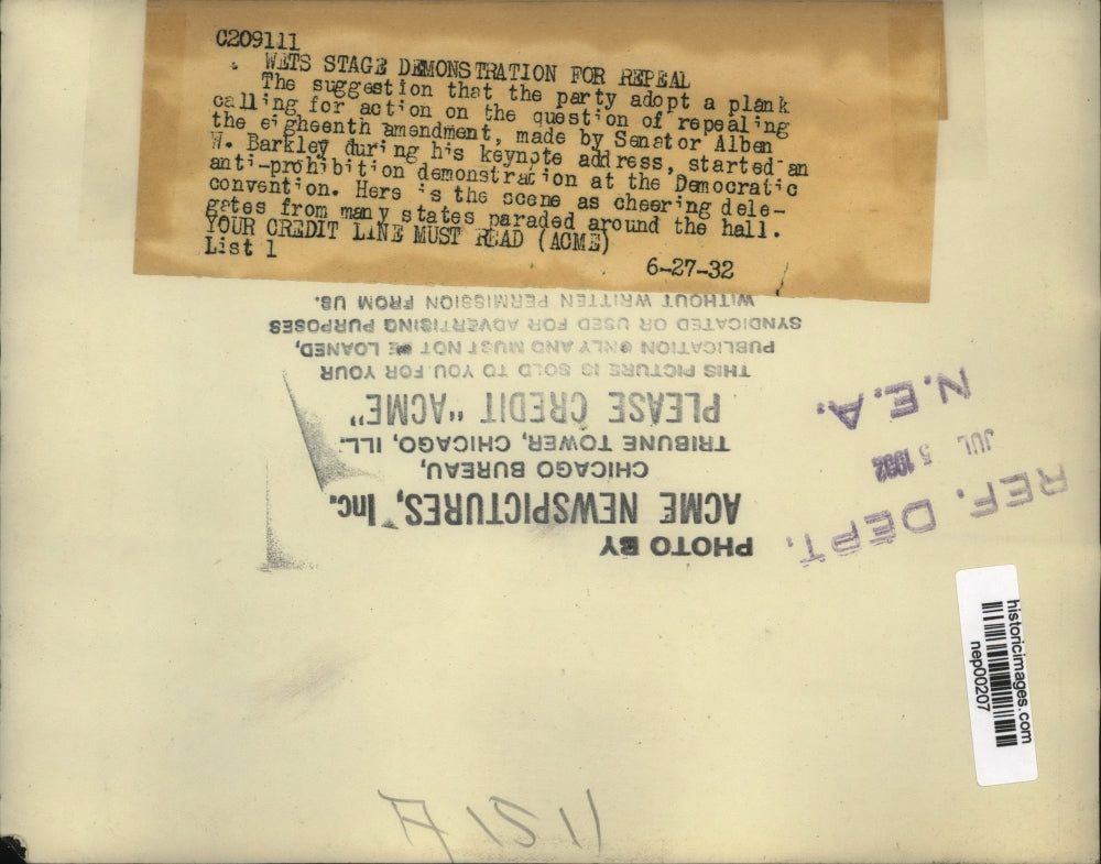 1932 Press Photo Democratic National Convention in Chicago - nep00207