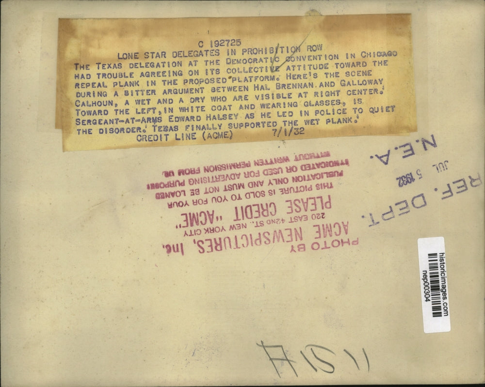 1932 Press Photo Texas delegation at Democratic Convention in Chicago