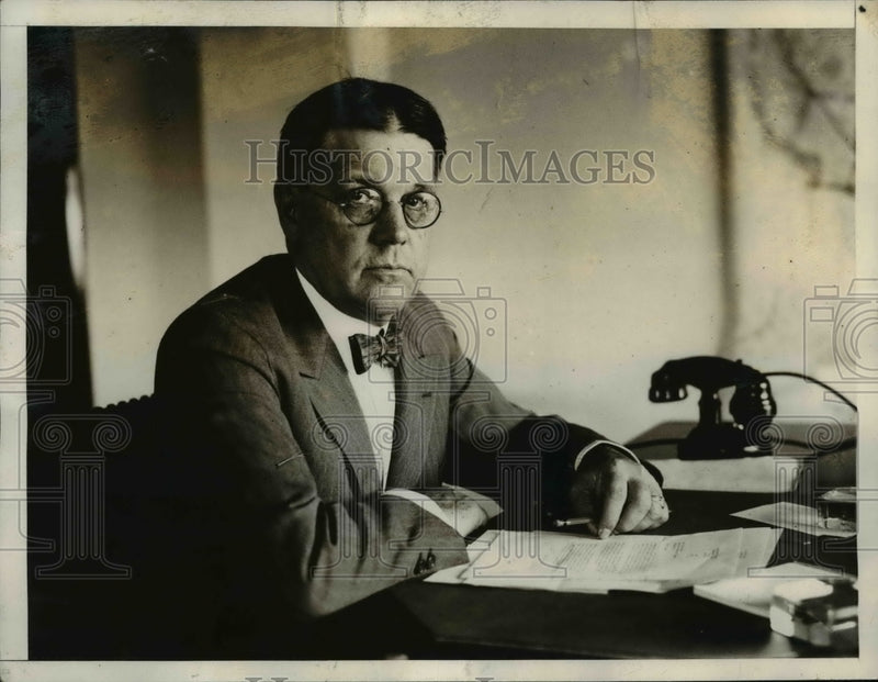 Load image into Gallery viewer, 1928 Press Photo Portrait Of Assistant Secretary Walter Brown - nep04289
