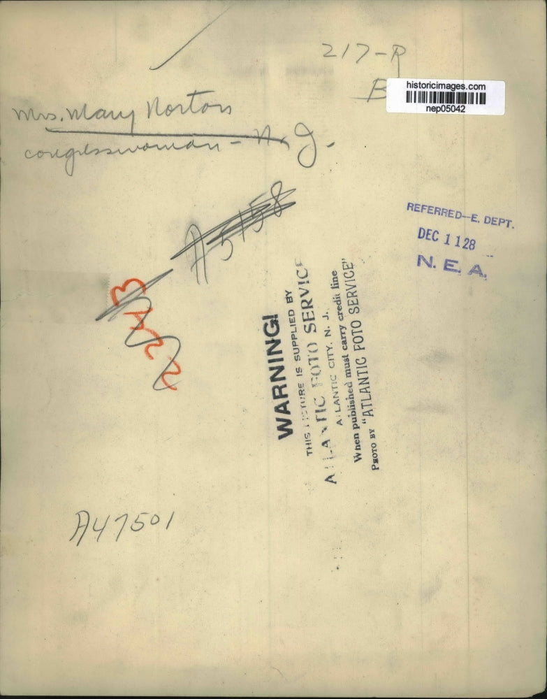 1928 Press Photo Portrait Of Mrs. Mary Norton - nep05042