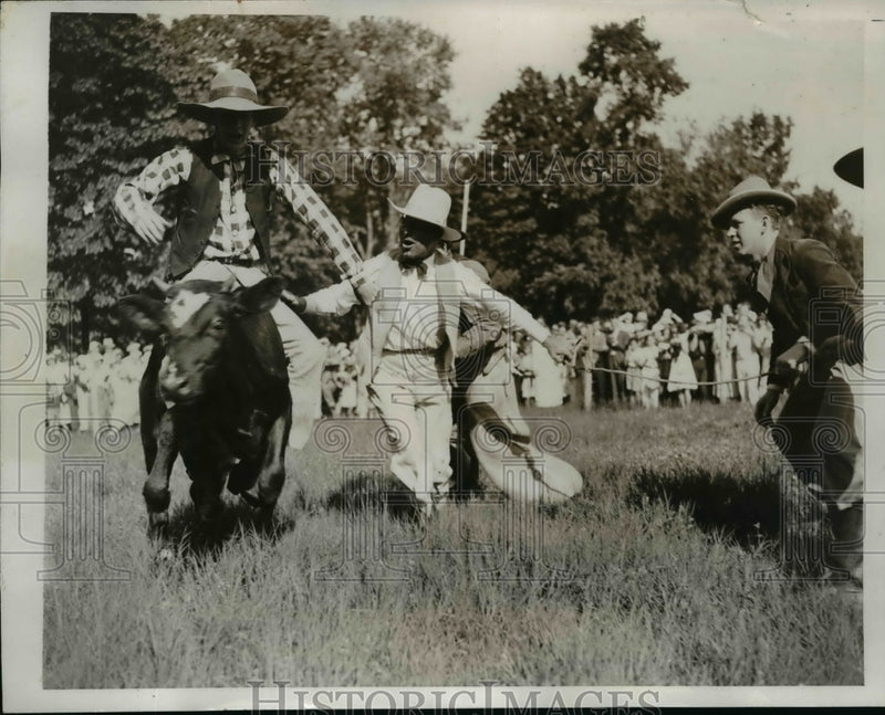 Load image into Gallery viewer, 1935 Press Photo Cong. Jack Nichols released a steer and look at the cowboy
