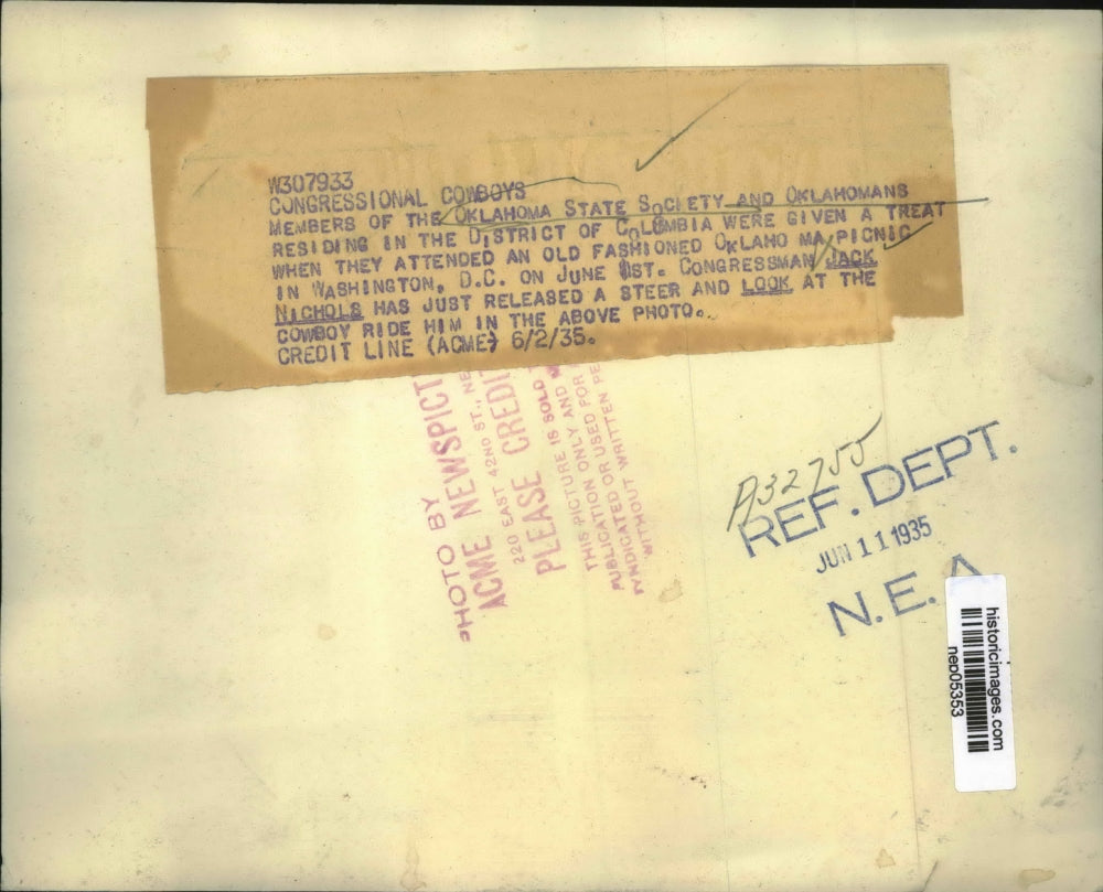 1935 Press Photo Cong. Jack Nichols released a steer and look at the cowboy