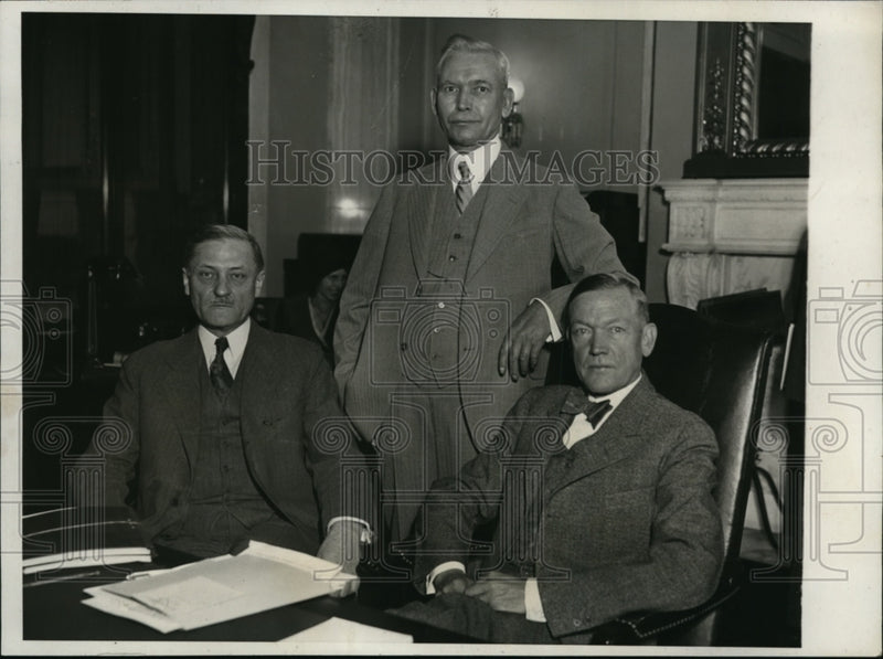 Load image into Gallery viewer, 1931 Press Photo James Stone, Charles McNary, Carl Williams Agriculture Hearing
