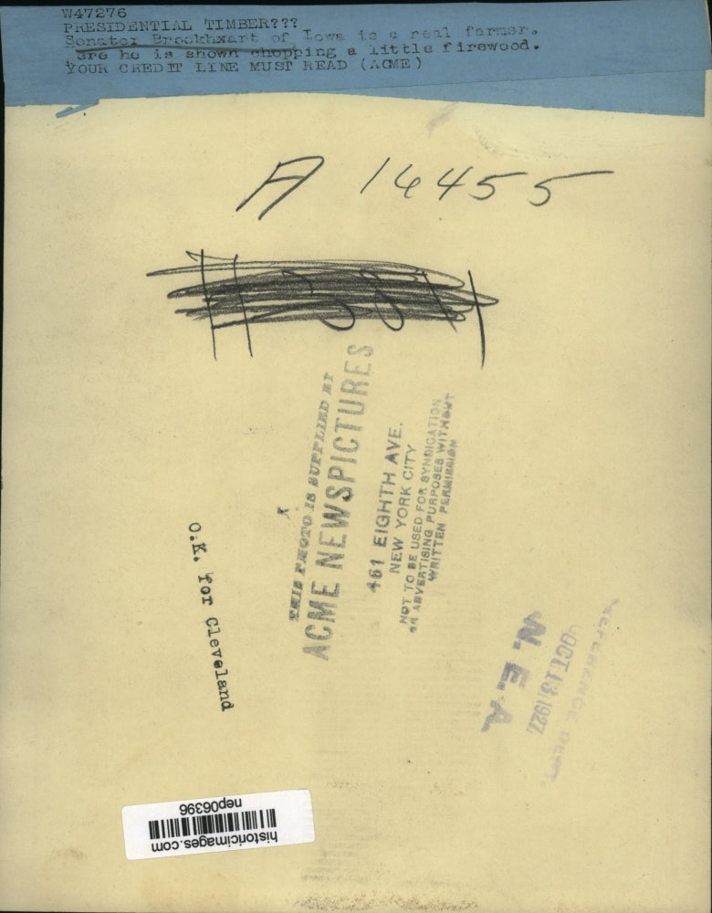 1927 Press Photo Iowa Senator Smith Brookhart chops firewood on his farm