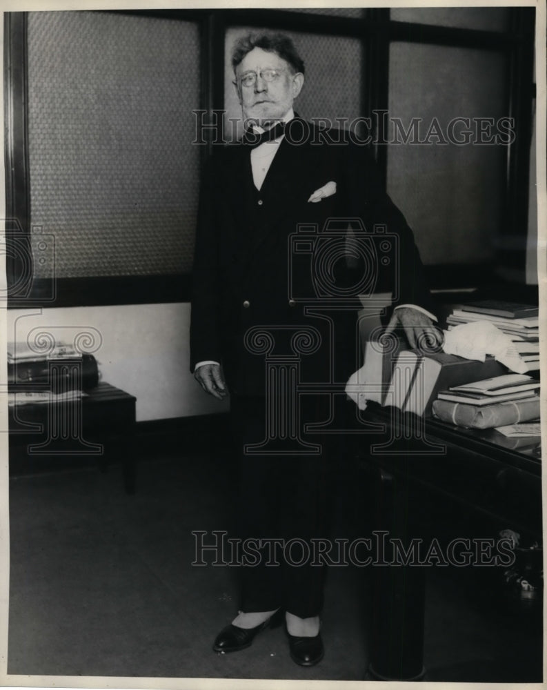 1930 Press Photo James Hamilton Lewis, Illinois Democratic Senatorial Candidate