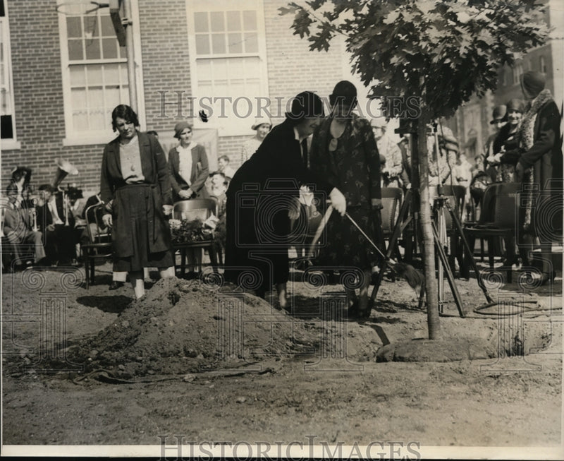 Load image into Gallery viewer, 1930 Press Photo Ben W Murch School in DC Mrs Hoover plants a tree - nep06860
