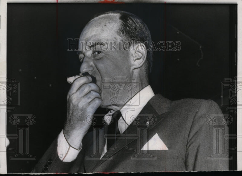 Load image into Gallery viewer, 1956 Press Photo Adlai Stevenson Happy with Public Response to Halting Bomb Test
