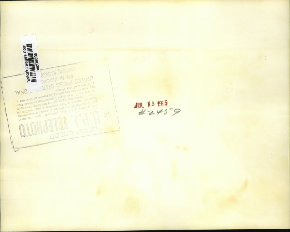 1965 Press Photo Armed Service Members Bear Casket of Adlai Steveson - nep08695