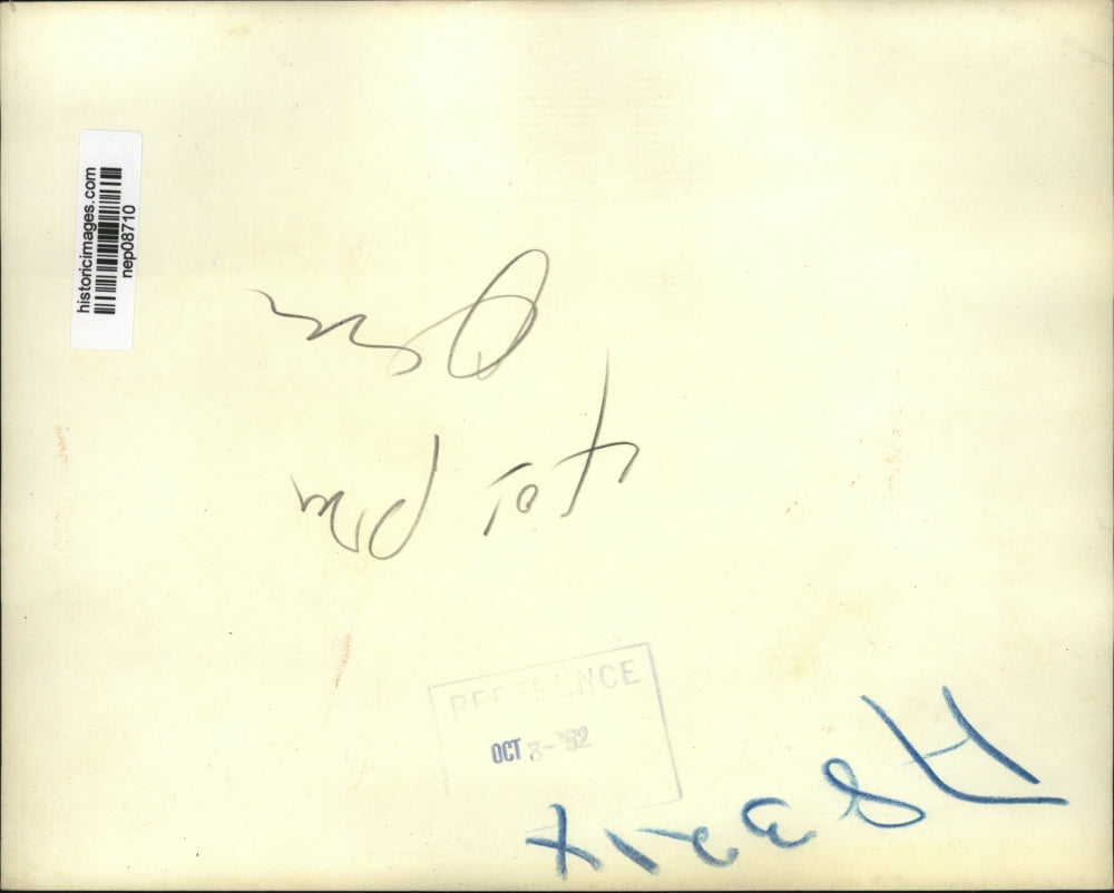 1952 Press Photo Adlai Stevenson & Constituents Observe Donkey Statue