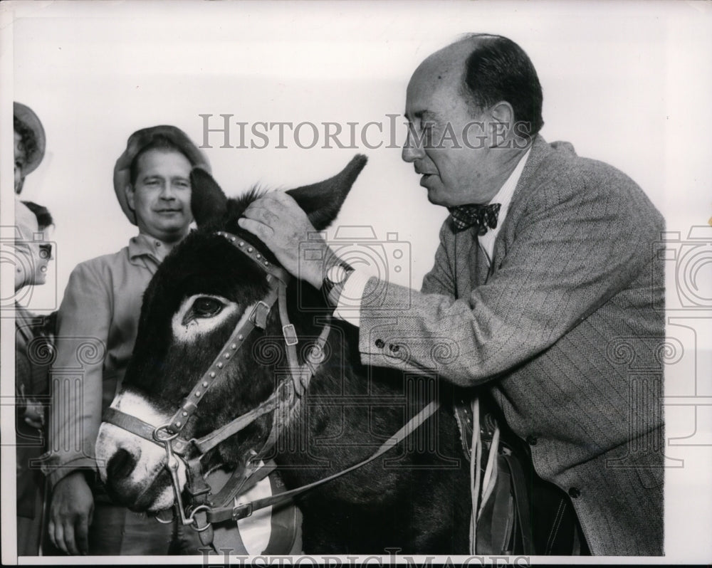 1956 Press Photo Adlai Stevenson Pulls on Donkey Ear for Good Luck - nep08713