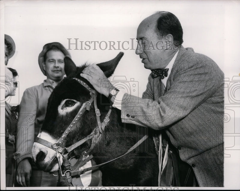 Load image into Gallery viewer, 1956 Press Photo Adlai Stevenson Pulls on Donkey Ear for Good Luck - nep08713
