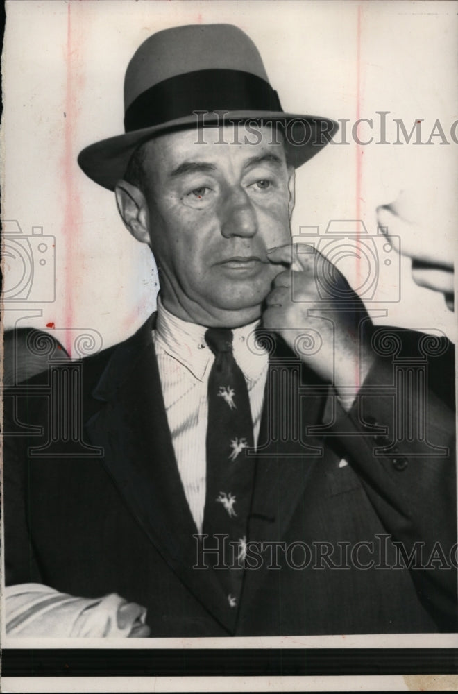 Load image into Gallery viewer, 1956 Press Photo Adlai Stevenson Democratic Presidential Candidate in Chicago
