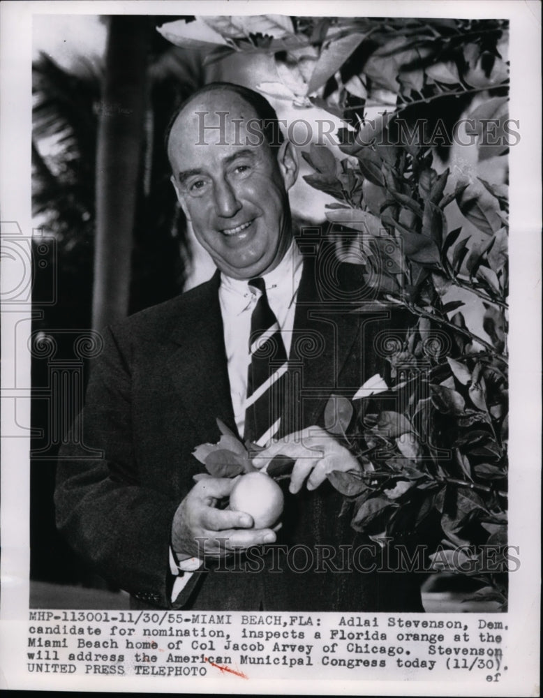 1955 Press Photo Adlai Stevenson at Col Jacob Arvey Home in Miami Beach, Florida