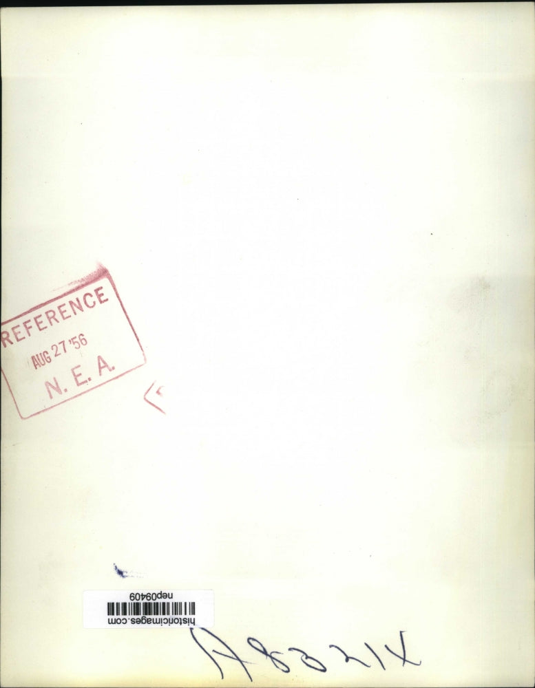 1956 Press Photo Adlai Stevenson Trims Hedges on His Farm in Libertyville, IL