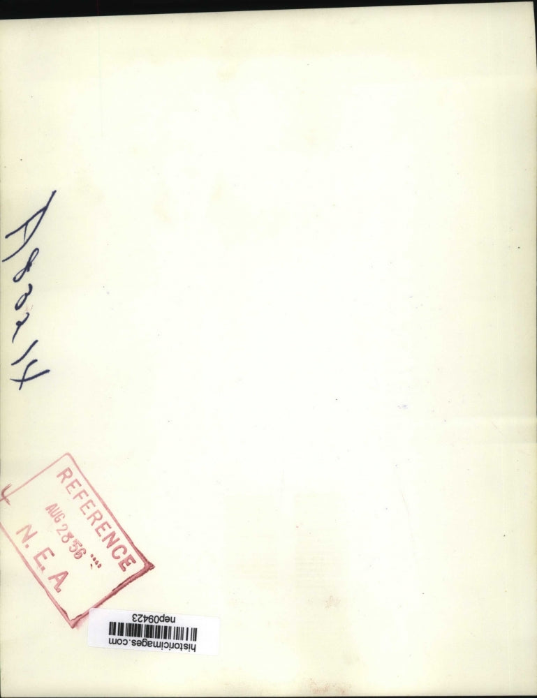 1956 Press Photo Adlai Stevenson Checks Coat of One of His Sheep on Farm