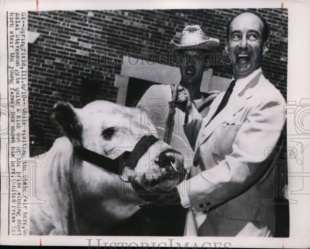 1952 Press Photo Adlai Stevenson w/ Steer at Springfield, IL State Fair