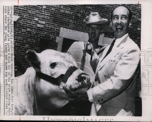 1952 Press Photo Adlai Stevenson w/ Steer at Springfield, IL State Fair
