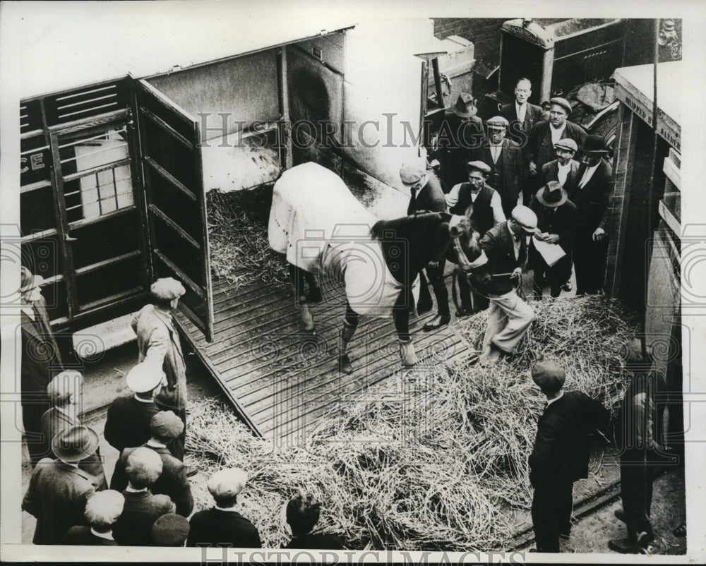 1934 Press Photo King George&#39;s the famous horse, Fox Earth - nes24489- Historic Images