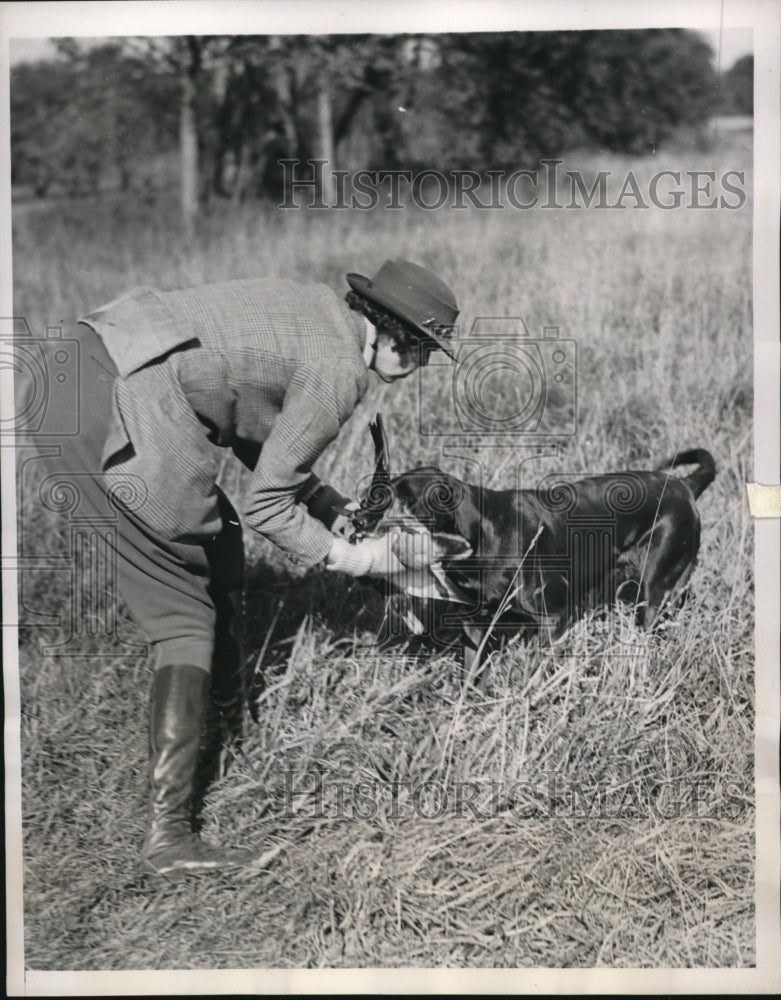 1939 Press Photo Huntington LI NY Mrs Morgan Belmont &amp; her retriever at trails- Historic Images