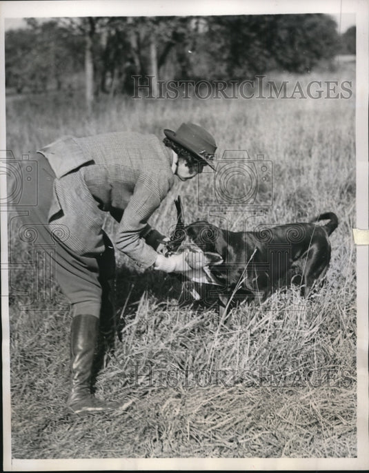1939 Press Photo Huntington LI NY Mrs Morgan Belmont & her retriever at trails- Historic Images