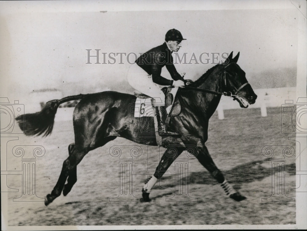 1934 Press Photo Delaneice at Golden Miller race for jumpers - nes27711- Historic Images