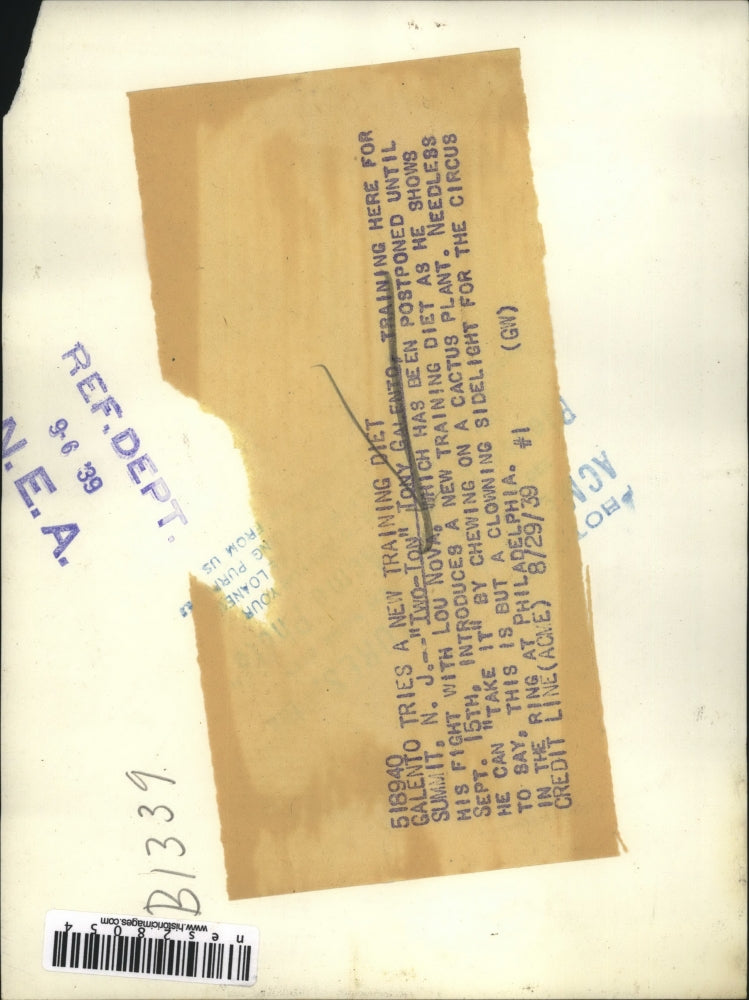 1939 Press Photo Two Ton Tony Galento chews on cactus plant during training