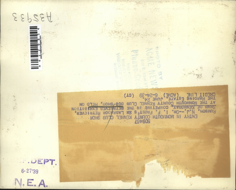 1939 Press Photo Rumson NJ Kennel retreiver show Sahn of Kennoway - nes29854