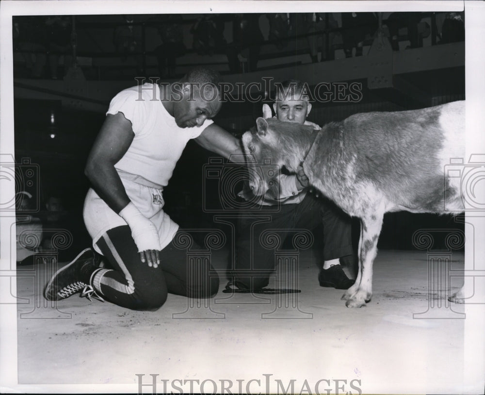 1953 Press Photo Chicago Boxer Jersey Joe Walcott &amp; a goat in ring - nes32446- Historic Images