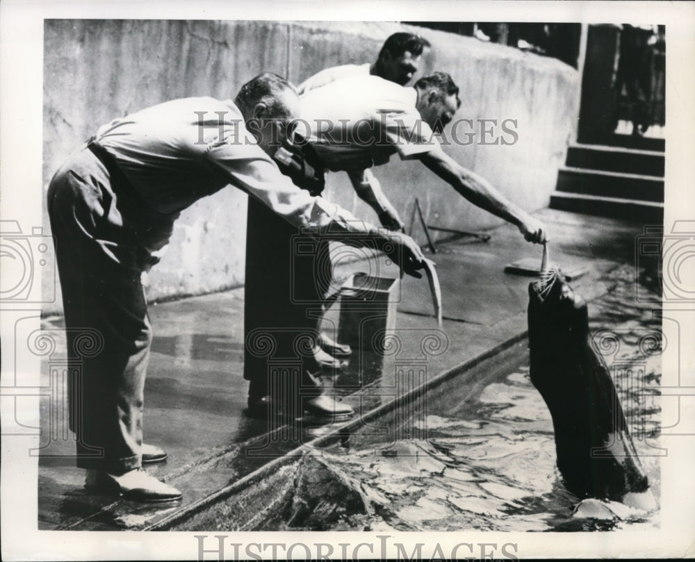 1948 Press Photo Athletics Dave Keefe, Sam Chapman, Ed Joost at the zoo- Historic Images