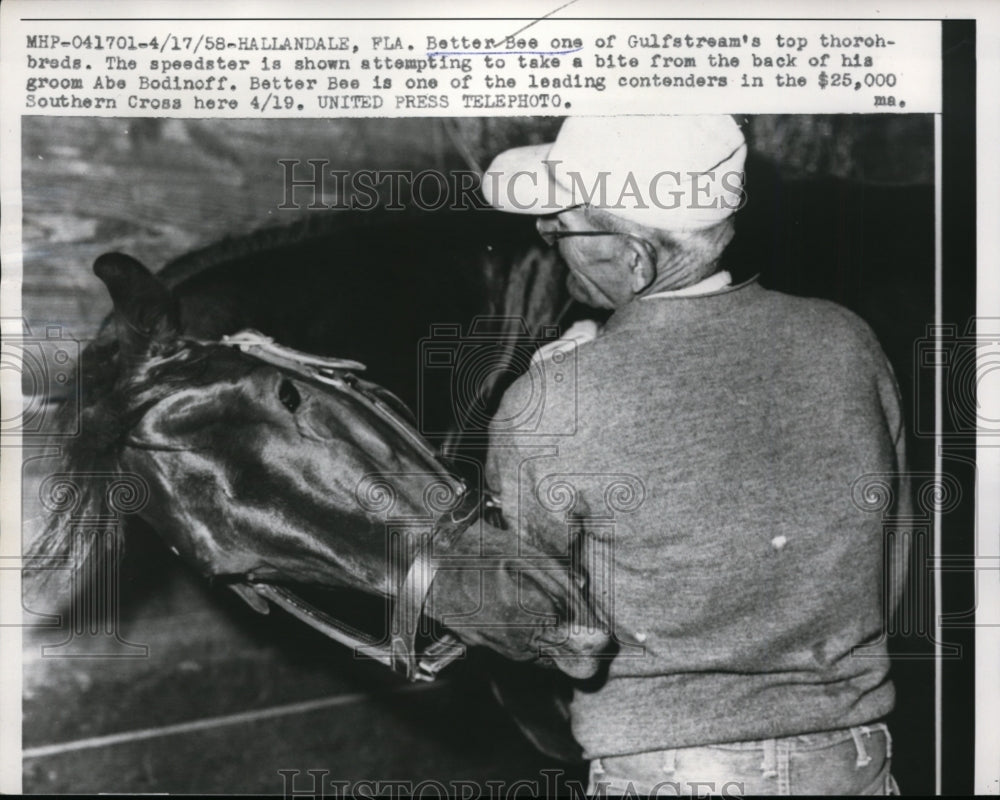 1958 Press Photo Better Bee &amp; groom Abe Bodinoff at Hallandale Florida- Historic Images