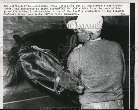 1958 Press Photo Better Bee & groom Abe Bodinoff at Hallandale Florida- Historic Images
