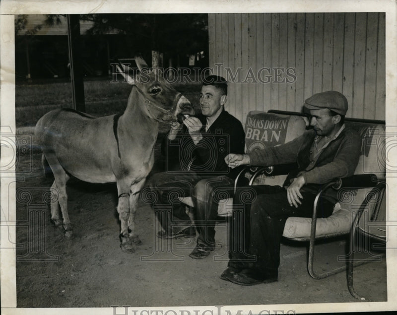 Load image into Gallery viewer, 1943 Press Photo Donkey April Fool owned by Mrs William Killmer fed by DeNault
