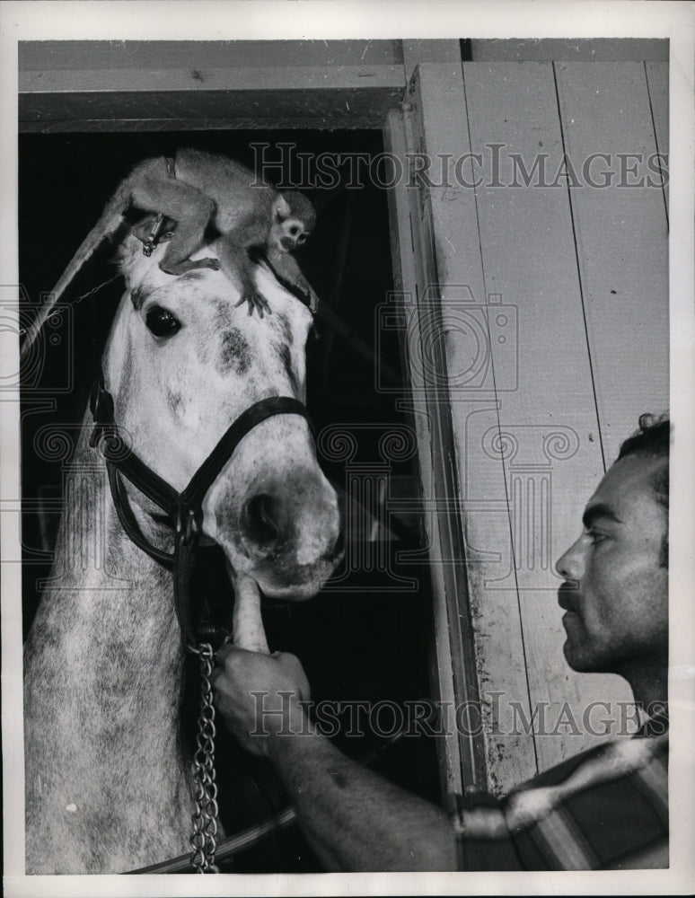 1959 Press Photo Groom Tony Fernandez &amp; a monyey with horse Collier at Fla track- Historic Images