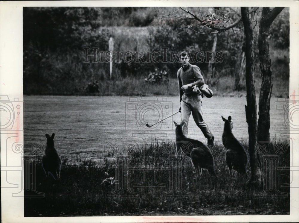 1964 Press Photo George Wallace golfs at Anglesea course in Australia- Historic Images