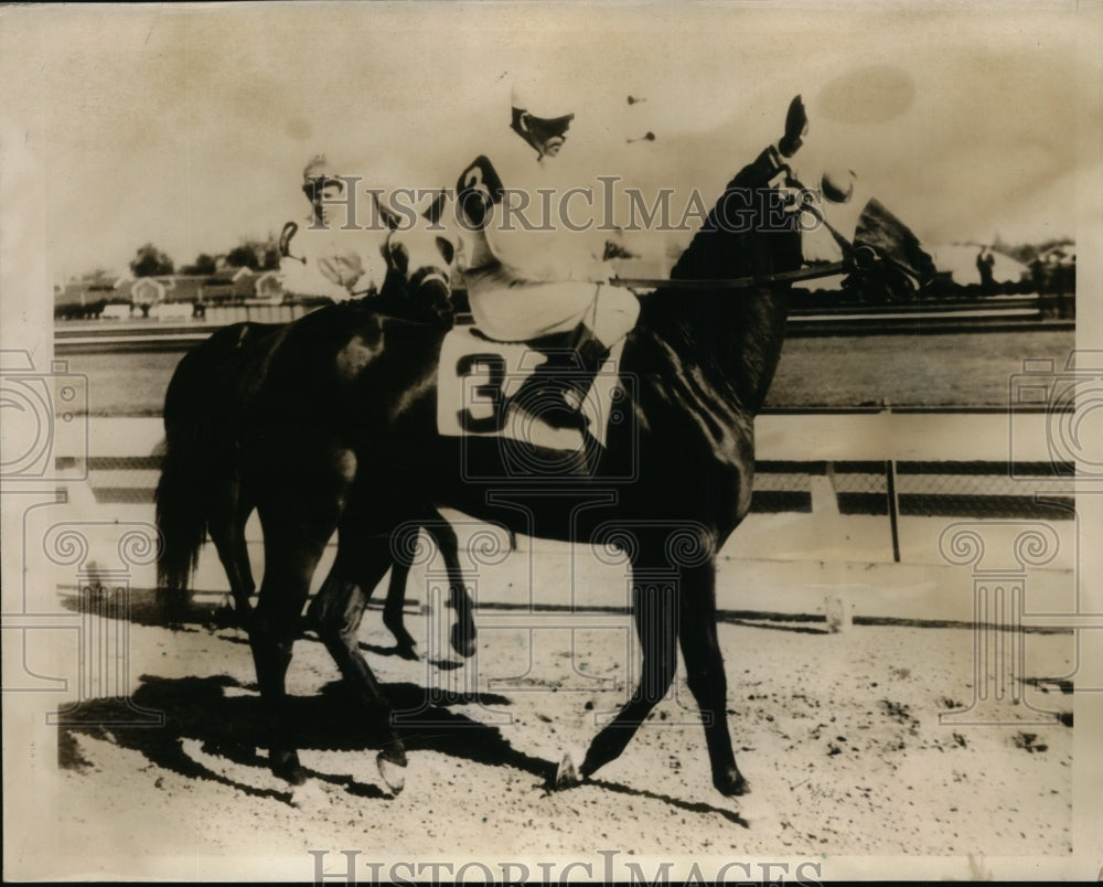 1939 Press Photo Timeful candidate for the Kentucky Derby - nes40833 - nes40833- Historic Images