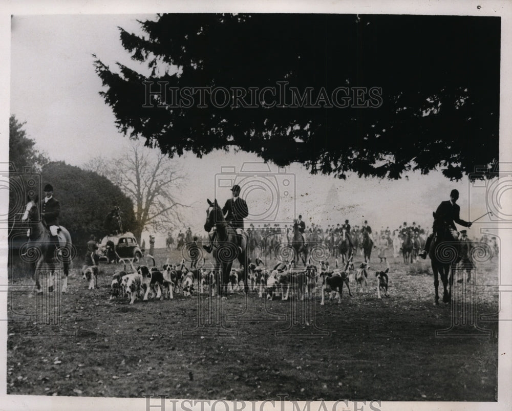 1937 Press Photo Huntsmen & hounds at Eridge Foxhounds meet in Sussex- Historic Images