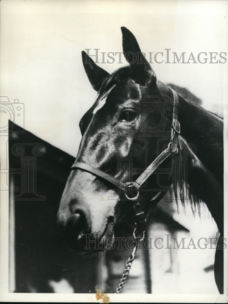 1935 Press Photo RJ Dick Reynold&#39;s horse Gayletta at Hambletonian Stakes in NY- Historic Images