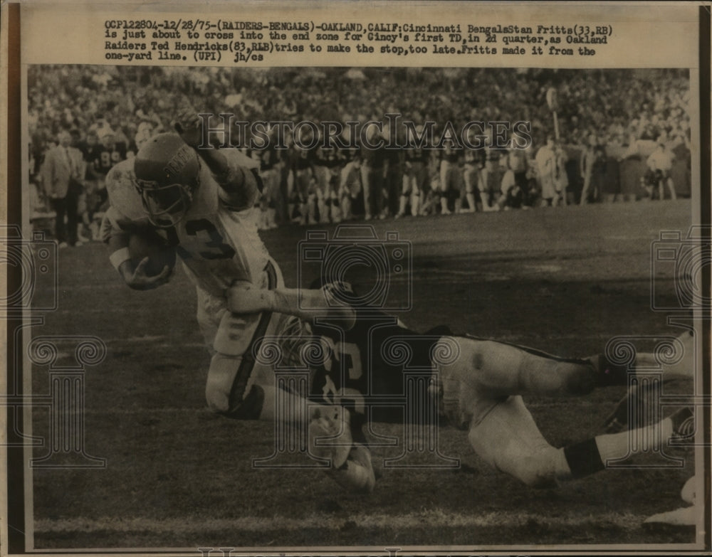 1975 Press Photo Bengals Stan Frittz vs Raiders Ted Hendricks - nes45117- Historic Images