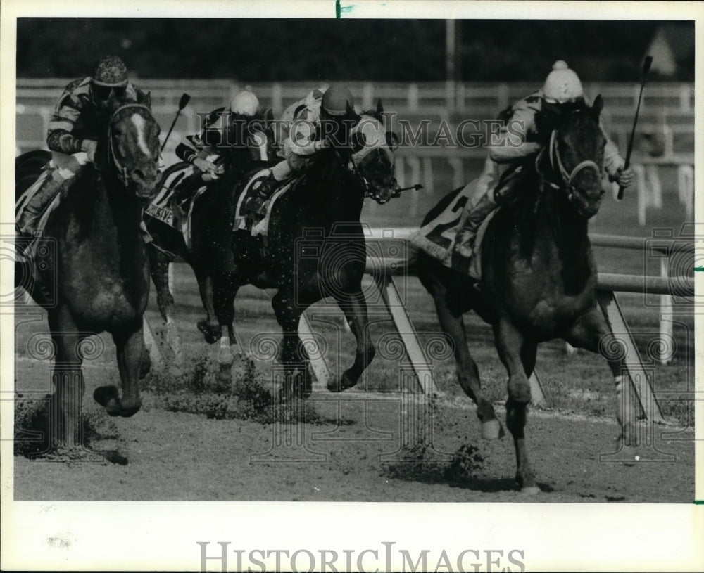 1984 Press Photo Steve Maple on Thumbstucker wins Washington Park Stakes- Historic Images