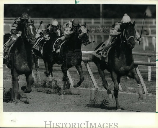 1984 Press Photo Steve Maple on Thumbstucker wins Washington Park Stakes- Historic Images