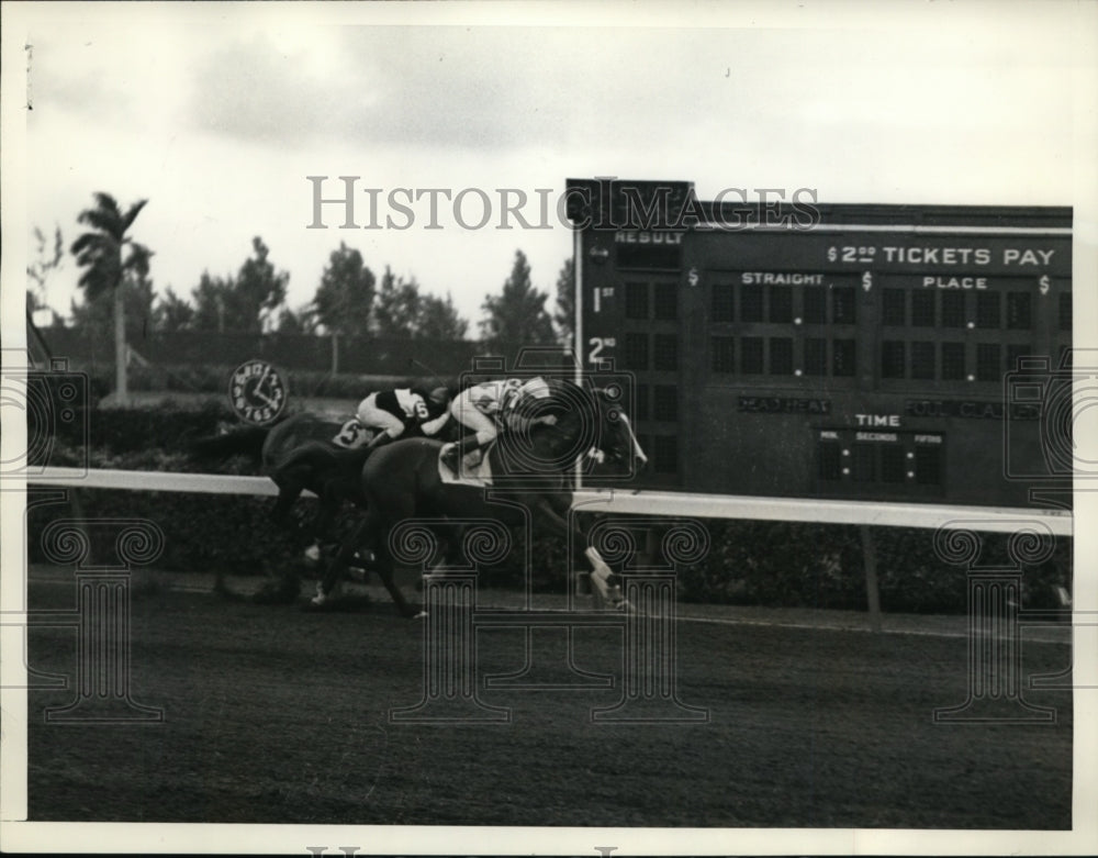 Press Photo J Stout on Sweep Like wins Handicap at Miami Florida vs Liberal- Historic Images