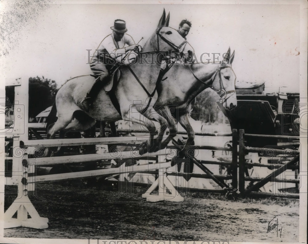 1937 Press Photo Pair of mules at County Kildare Ireland jumping contest- Historic Images