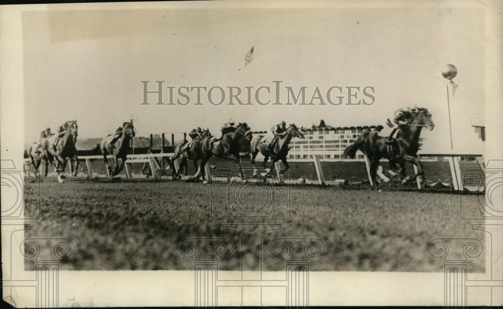 1929 Press Photo Alto ridden by E. Pool wins race at Fairgrounds in New Orleans- Historic Images