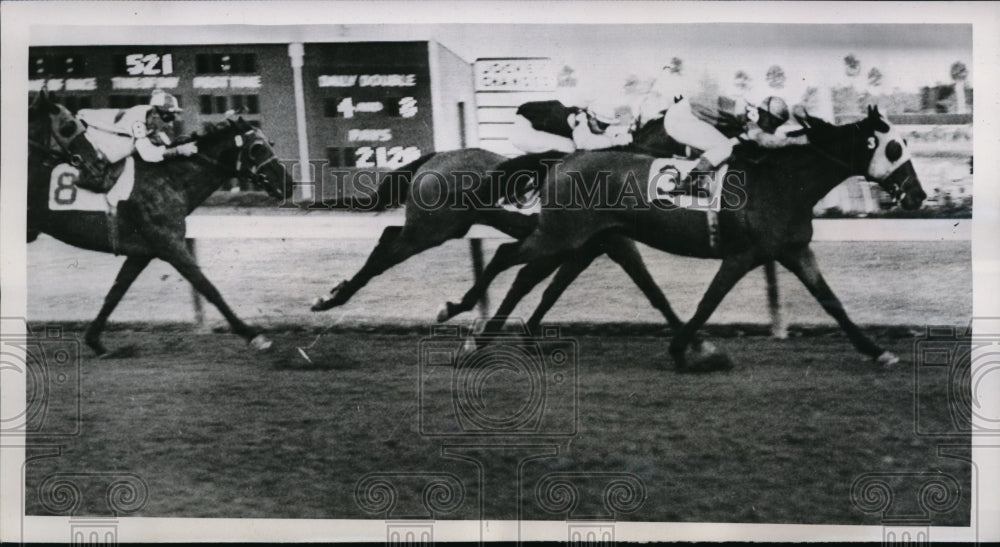 1952 Press Photo Anthony DeSpirito on Kings Quest wins at Coral Gables Fla- Historic Images