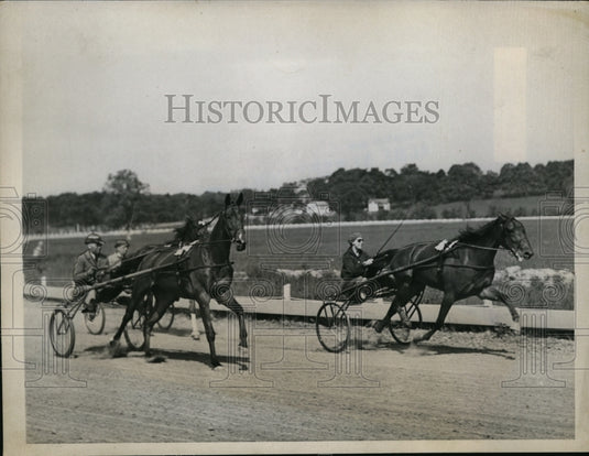 1938 Press Photo Goshen NY Mrs Er Harriman drives Good Hanover in practice- Historic Images